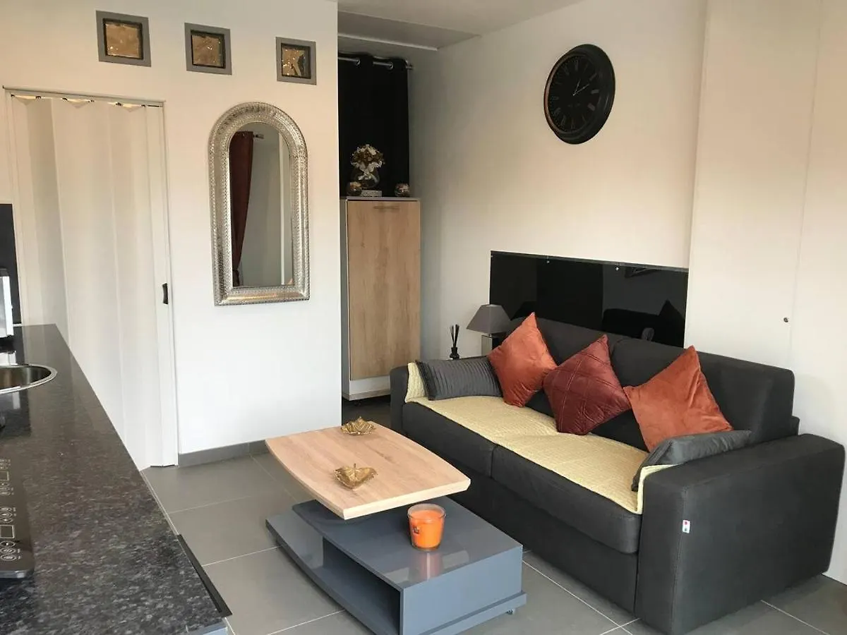 Studio Detente A 10Mn De La Gare Et Aeroport St Exupery Colombier-Saugnieu