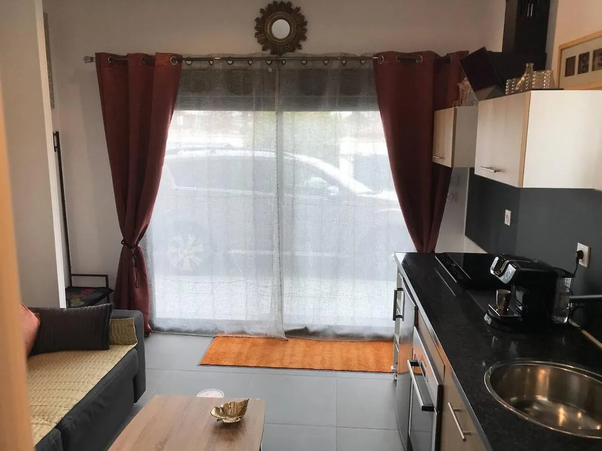 Studio Detente A 10Mn De La Gare Et Aeroport St Exupery Colombier-Saugnieu Appartement