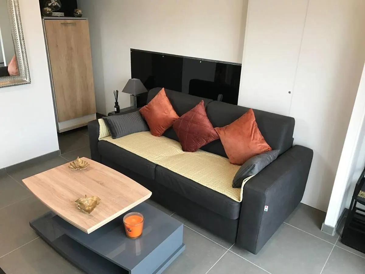 Studio Detente A 10Mn De La Gare Et Aeroport St Exupery Colombier-Saugnieu France