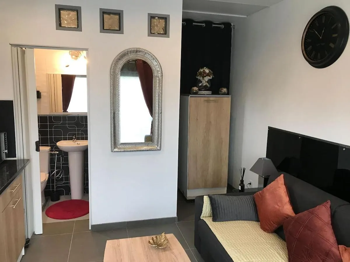 Studio Detente A 10Mn De La Gare Et Aeroport St Exupery Colombier-Saugnieu Appartement