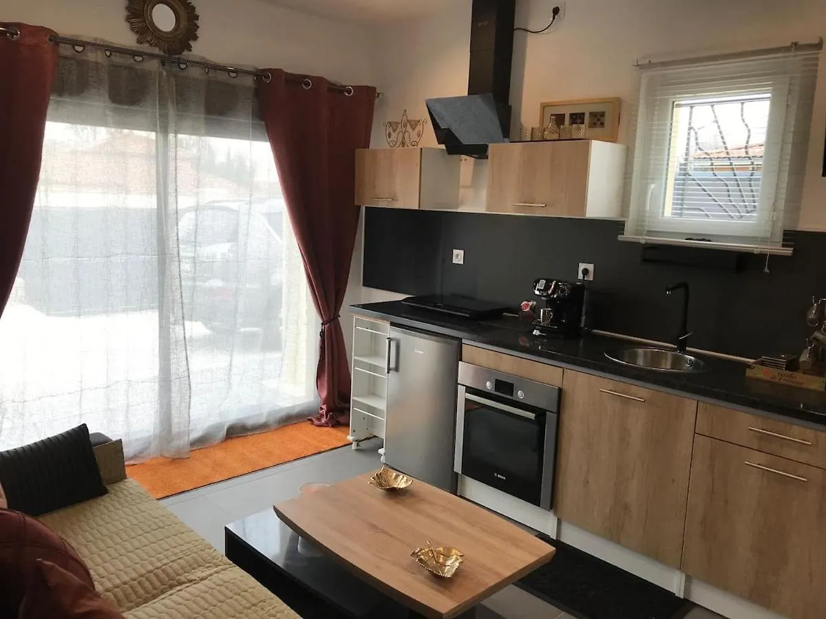 Studio Detente A 10Mn De La Gare Et Aeroport St Exupery Colombier-Saugnieu