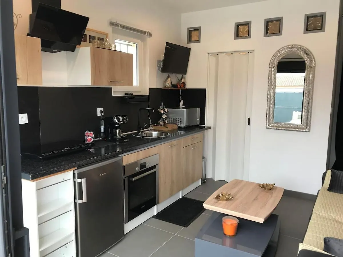 Studio Detente A 10Mn De La Gare Et Aeroport St Exupery Colombier-Saugnieu 0*,