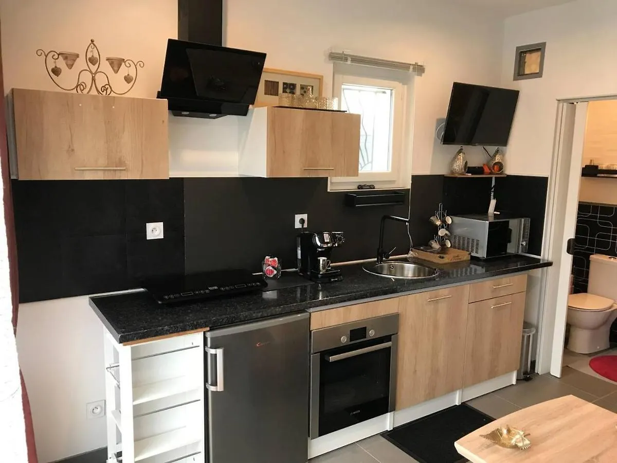 Appartement Studio Detente A 10Mn De La Gare Et Aeroport St Exupery Colombier-Saugnieu